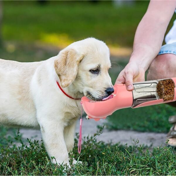 Puppy drinking from the pink 3-in-1 Travel Water Bottle on a walk