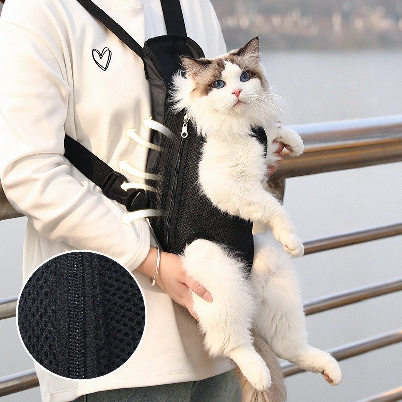 Small dog riding in a legs-out carrier backpack with its head out