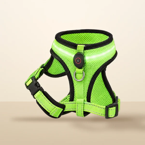 LED mesh dog harness in green
