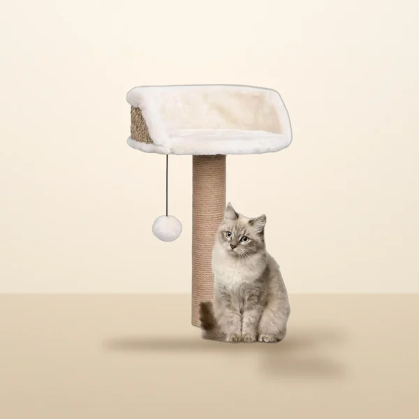 Seagrass cat tree with plush bed, 49 cm, with a cat beside it