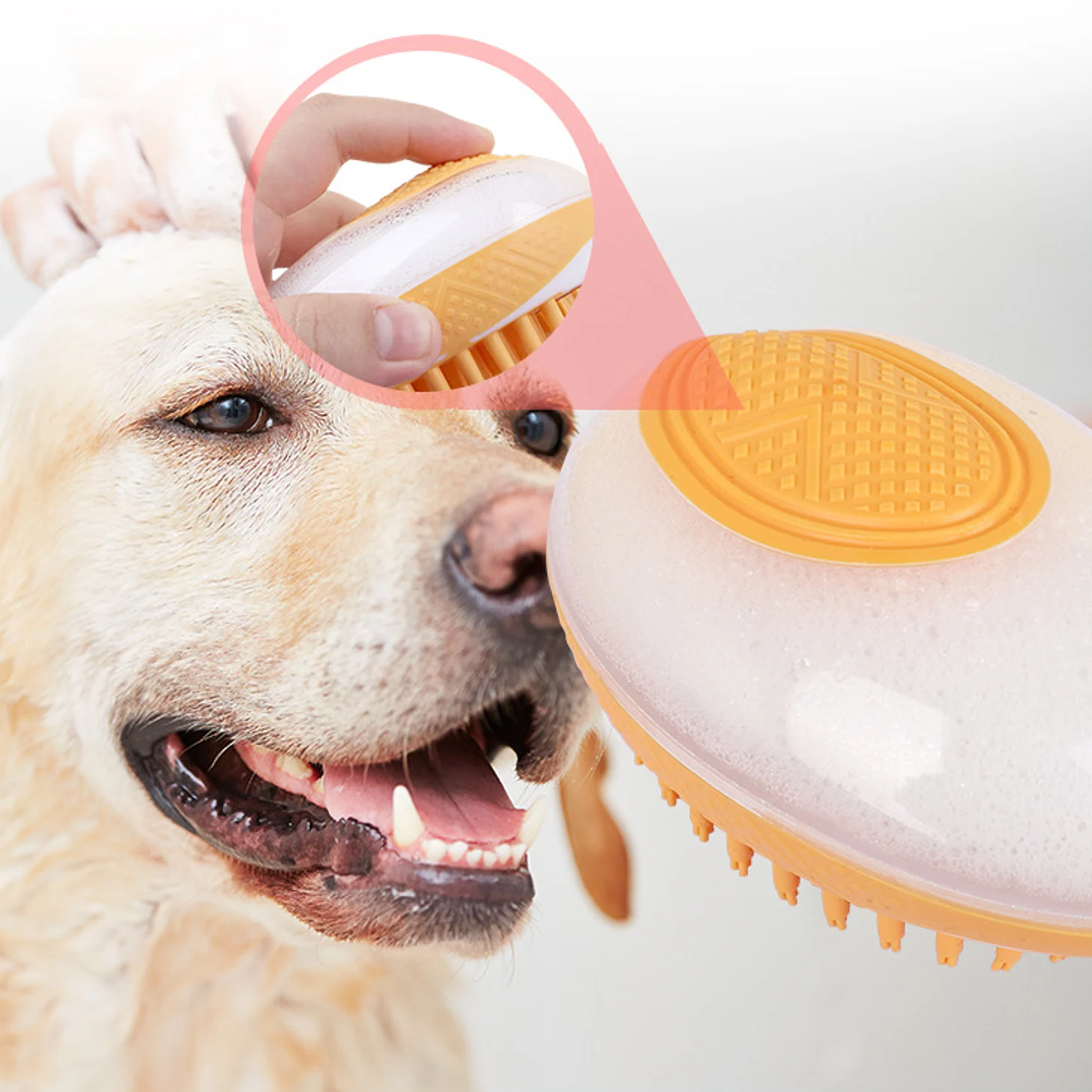 Dog being washed with a soft rubber bath brush