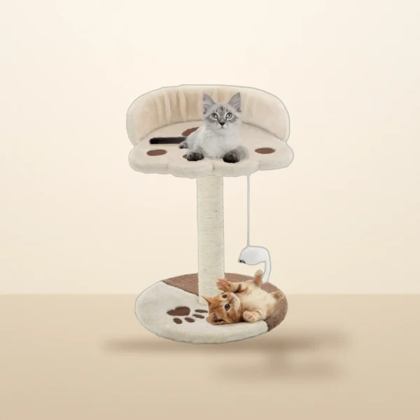 Sisal cat scratching post with a kitten on the paw-shaped platform